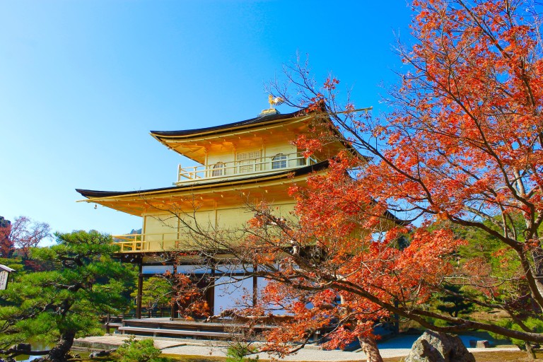 Kinh nghiệm du lịch Nhật Bản mùa lá đỏ